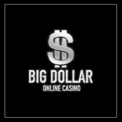 Big Dollar Casino freeroll logo