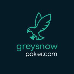 GreySnowPoker logo