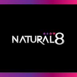 Natural8 logo