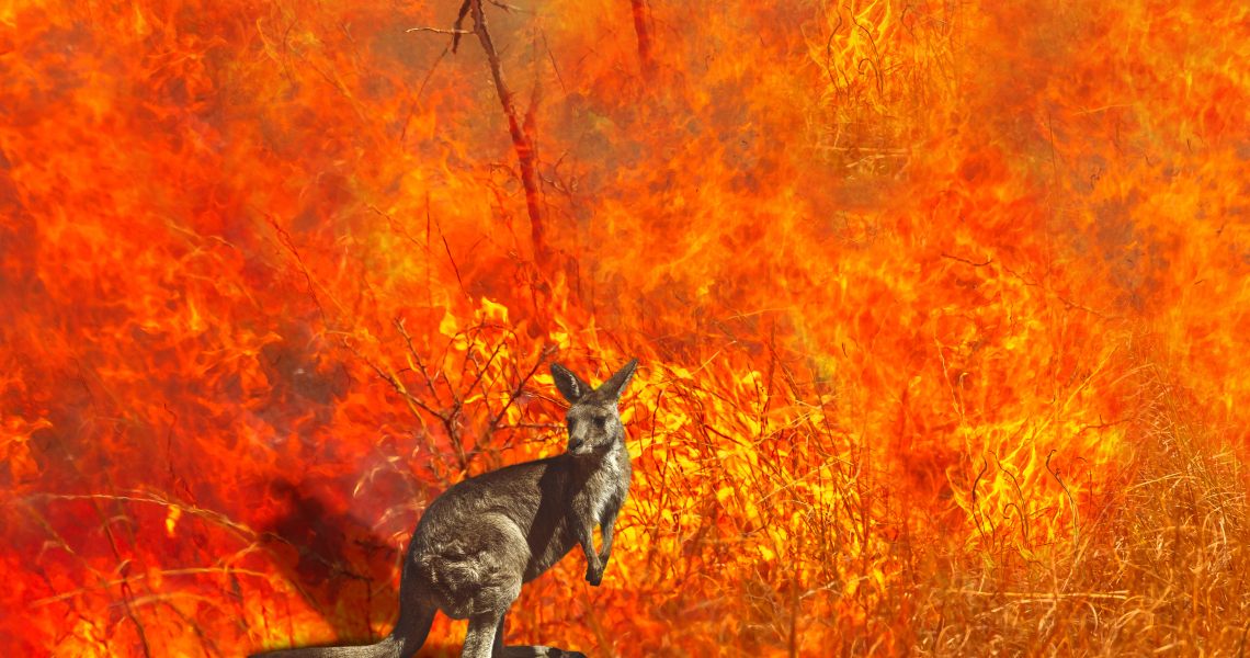 Australia is on fire