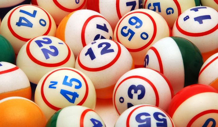Bingo Bingo