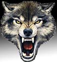 wolffs16 avatar