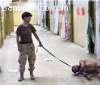 leash.jpg