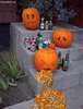 pumpkinsick_Full.jpg