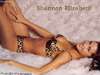 Shannon Elizabeth pic1.jpg