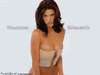 Shannon Elizabeth pic2.jpg