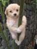 blonde-pole-dancer.jpg
