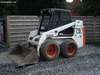 bobcat.jpg