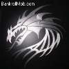 drache.jpg