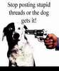 shootdog.jpg