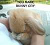 bunnycry.jpg