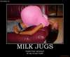 jugs-2.jpg