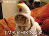 chicken.jpg