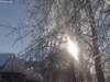 Optimized-26012013743.jpg