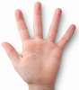 hand.JPG